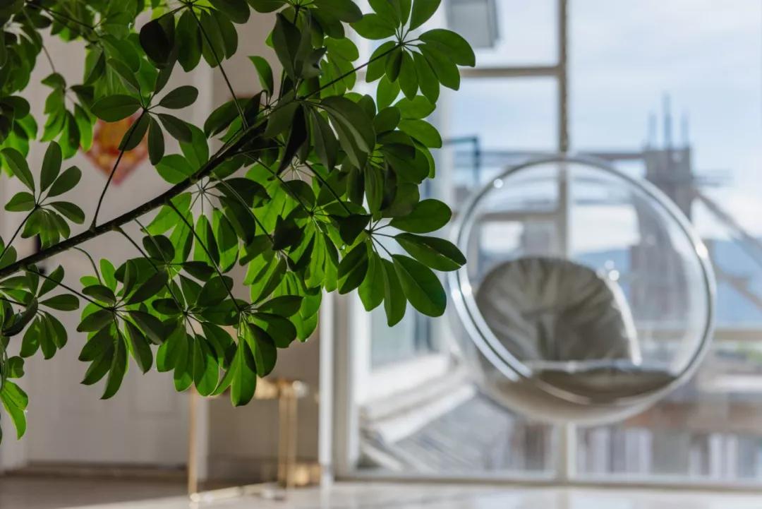 他建了一个3000㎡的浪漫花园，情侣不远千里只为一场草坪婚礼