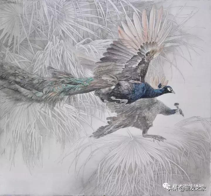 工笔孔雀上色步骤详解,工笔最顶级逼真孔雀画精品