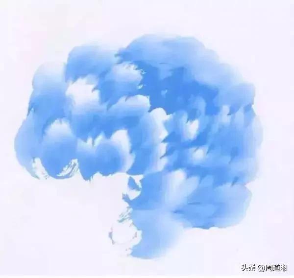 九种牡丹调色法,牡丹九大色系图片大全