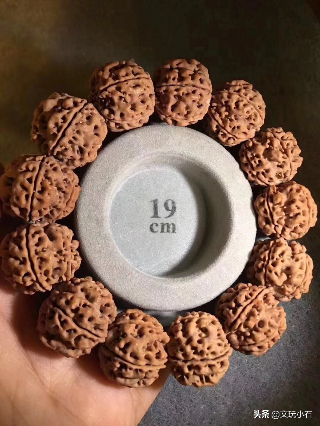 金刚菩提入门知识,新手必备,掌握了三言两语就能让别人刮目!