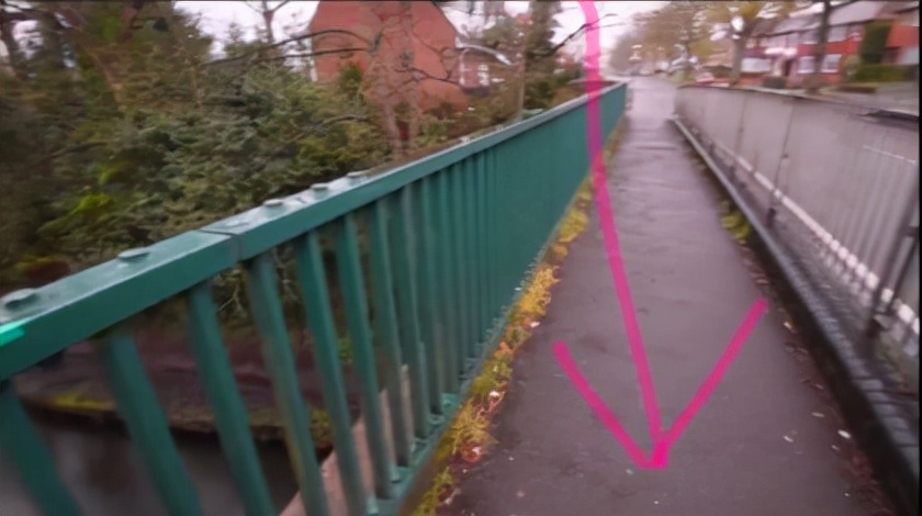 美国16岁女孩被推下20米高桥,英国女孩18岁被朋友杀害