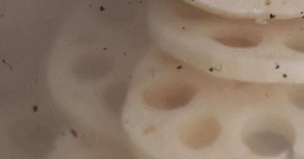 莲藕孔里面的脏污怎么清除,莲藕孔里有一层黑膜怎么清洗