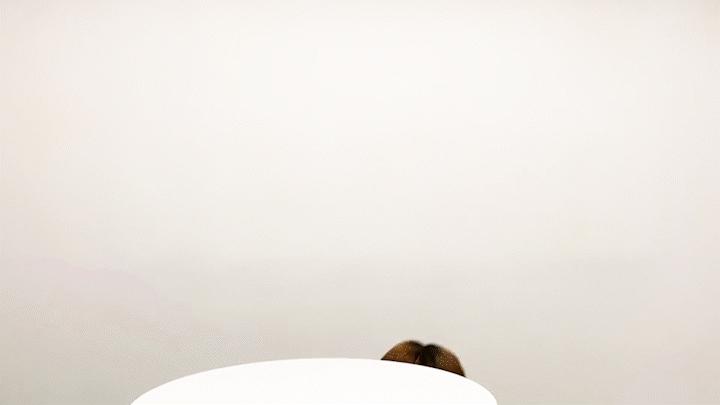 安踏和鸿星尔克跑鞋哪个穿上舒服,安踏跑鞋和鸿星尔克哪个好