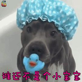 夏可叔叔扒面霜欧莱雅,夏可叔叔扒雪花秀