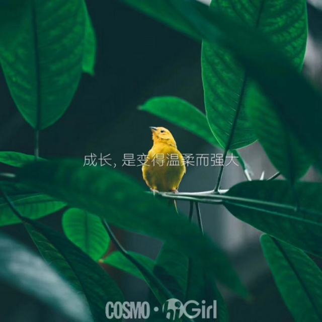 一名教师的“学渣”经历——学车记感同身受才能成为好老师