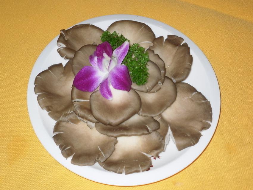 鲜平菇打成浆栽培平菇,平菇基地规模化平菇栽培