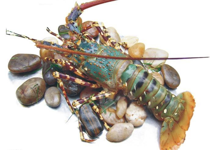 厦门青龙虾海鲜价格,厦门好吃的龙虾排行榜