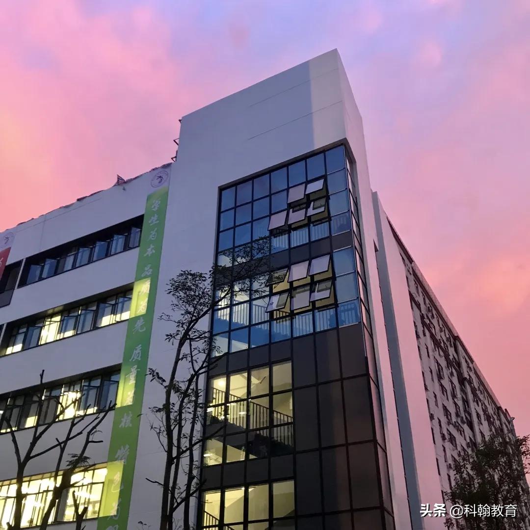 深圳国际艺术高中有哪些,深圳第一所艺术高中怎么报名