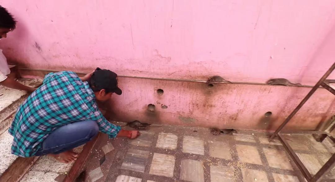 辞职后，我跑去印度恒河洗了个澡