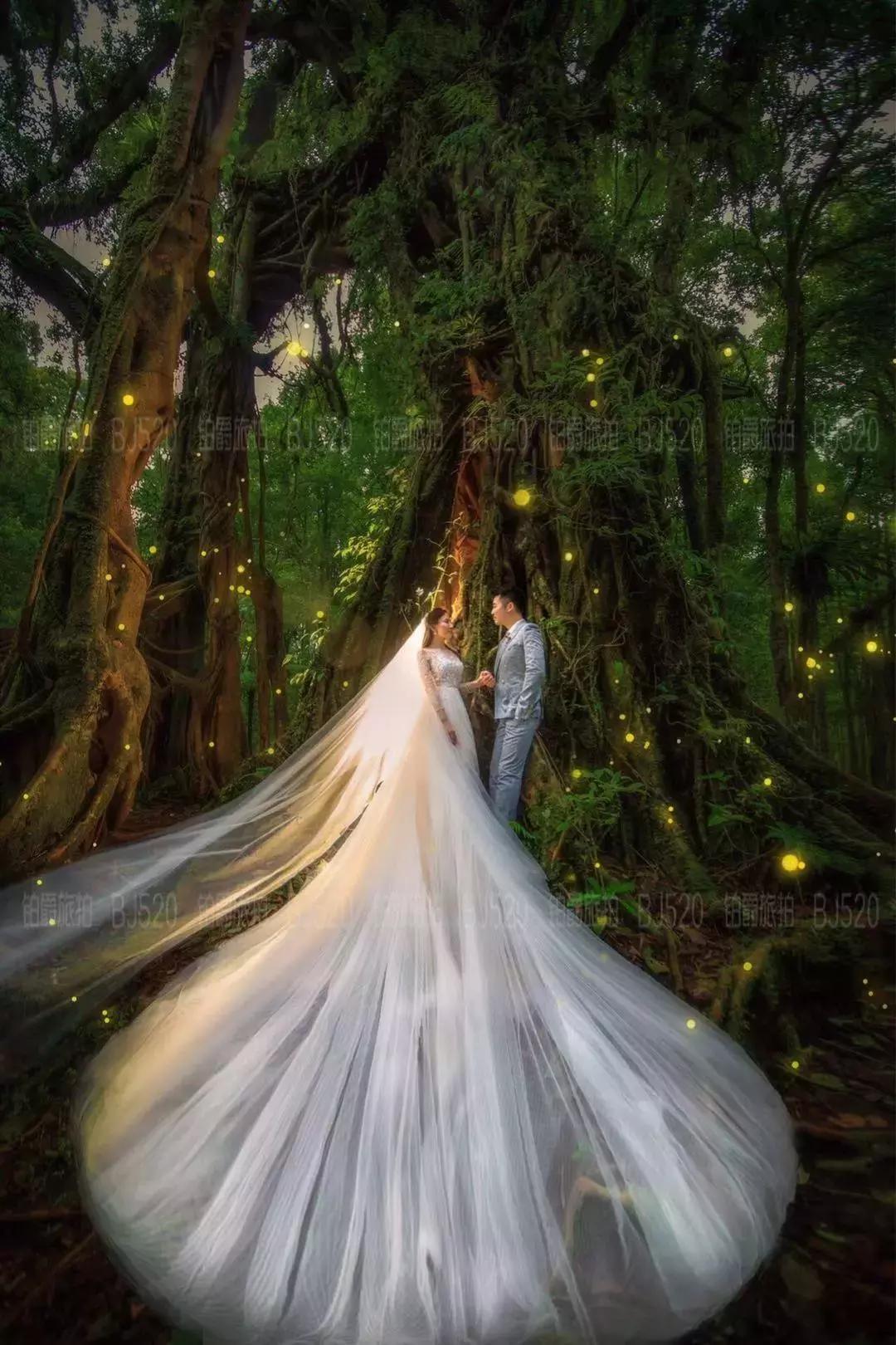 5套婚纱衣服怎么安排合适,婚纱照礼服男士5套是什么