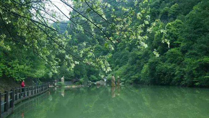 有个美丽地方叫青田,台州市美丽的地方