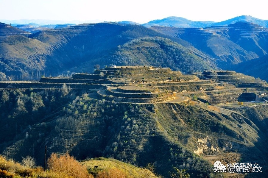 天津纪行：美丽的海河，价格令人肉痛的狗不理包子和航母
