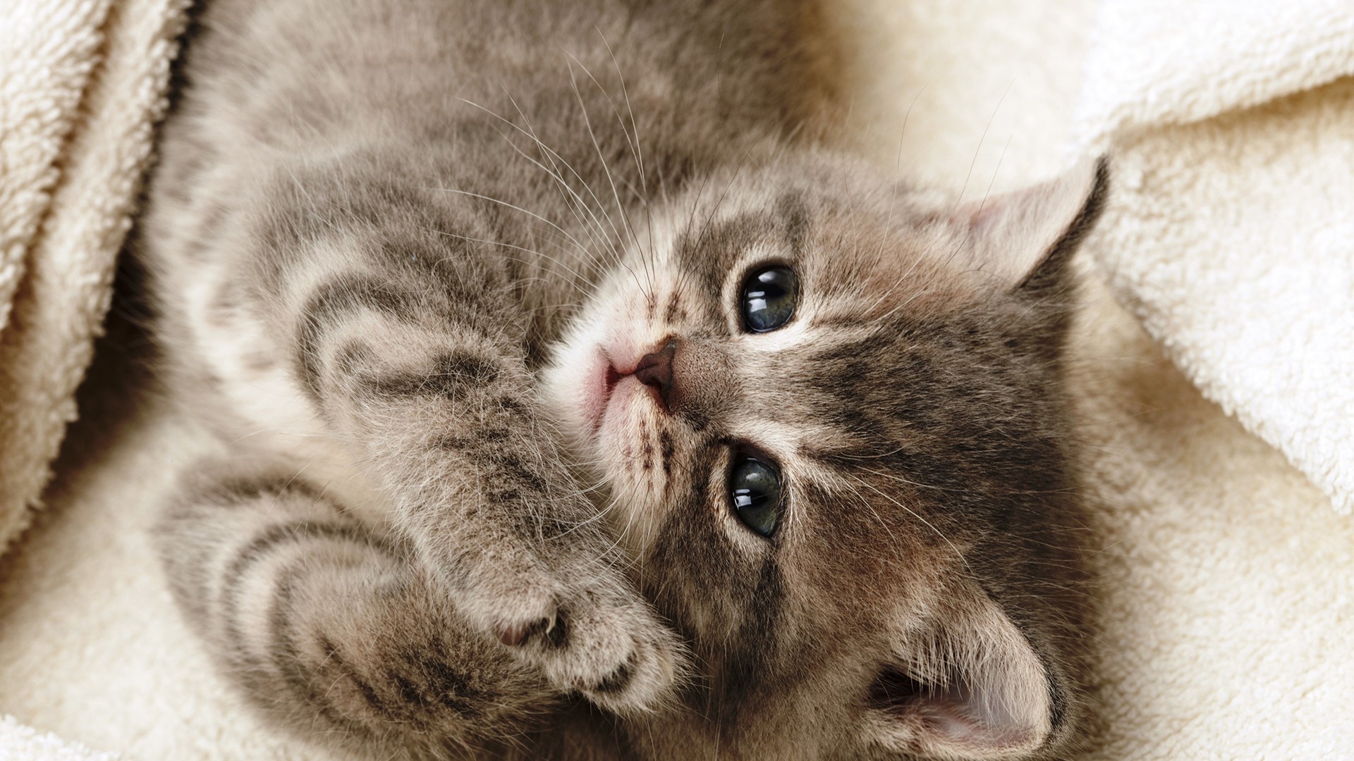 璋冨懗鏂欐湁鍝簺鍙互娌荤梾,濡囩璋冩枡