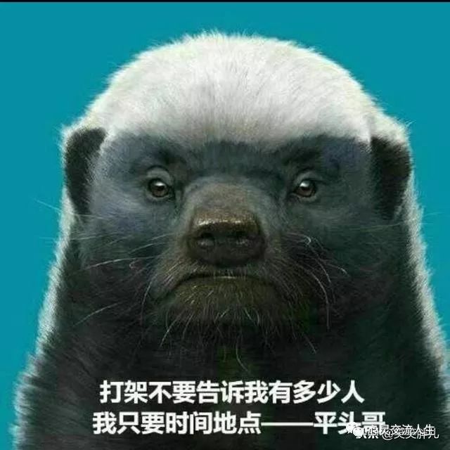 摆摊顺口溜600句,摆摊顺口溜66字