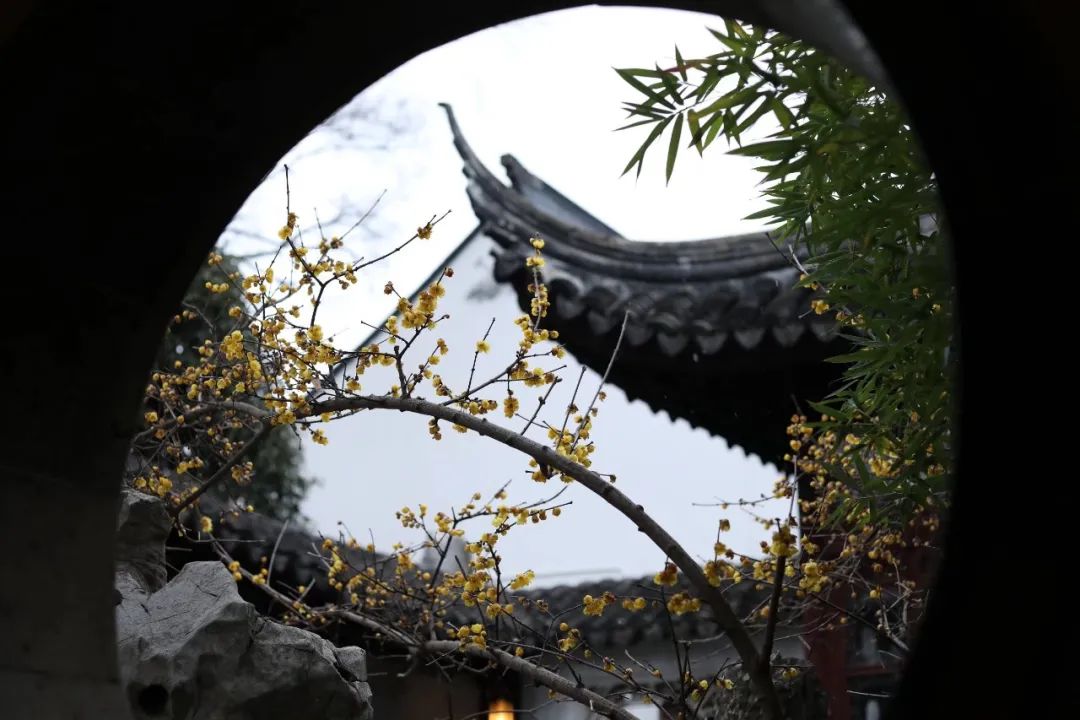 乾隆去过六和塔吗,乾隆六下江南都去过什么地方