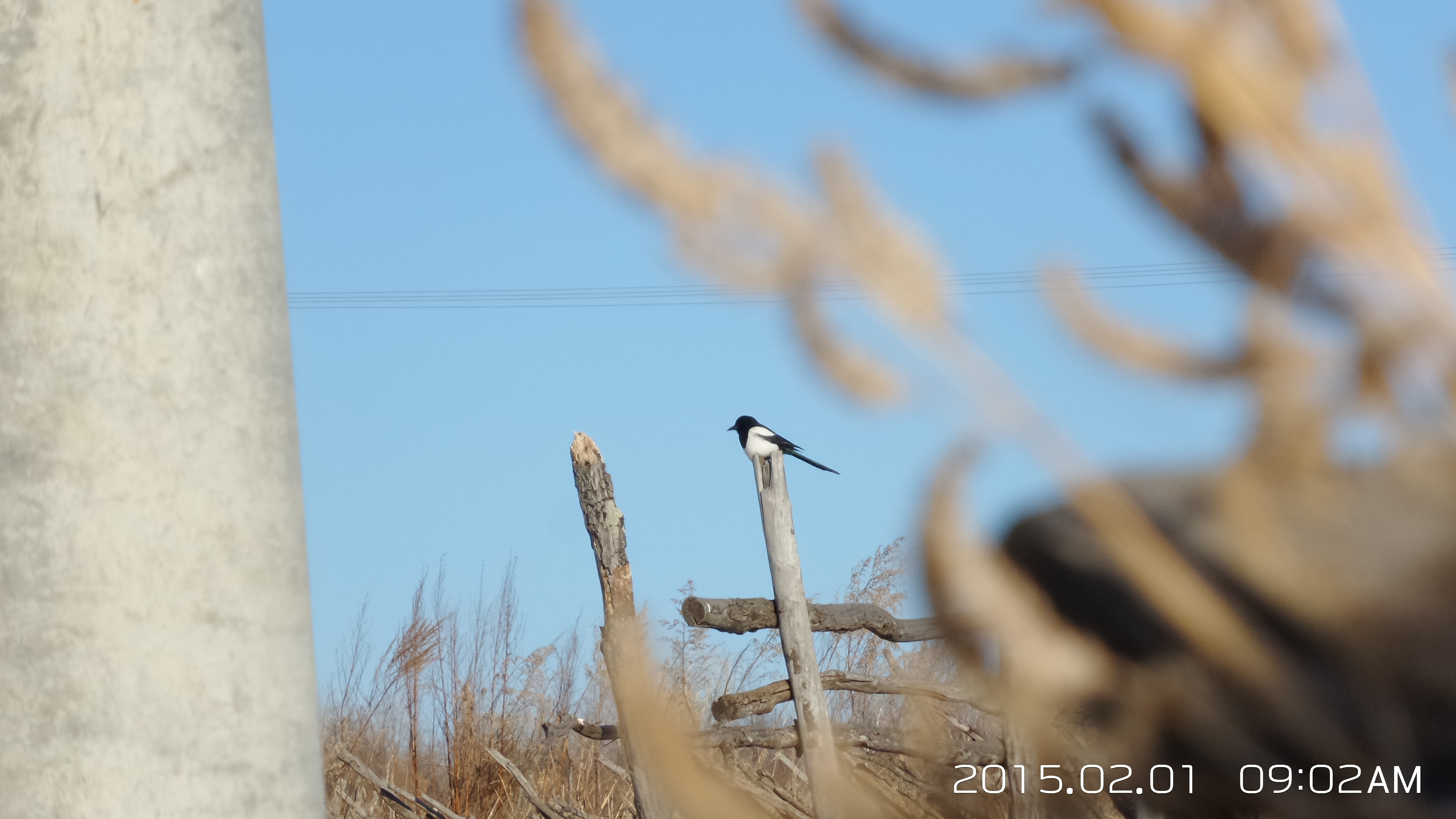 大山里的苦日子视频,你见过最苦的生活是什么样的