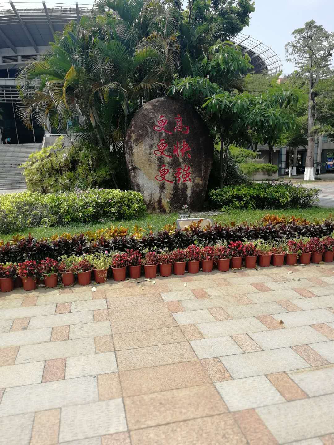 岭南师范学院分数线,岭南师范学院专业组