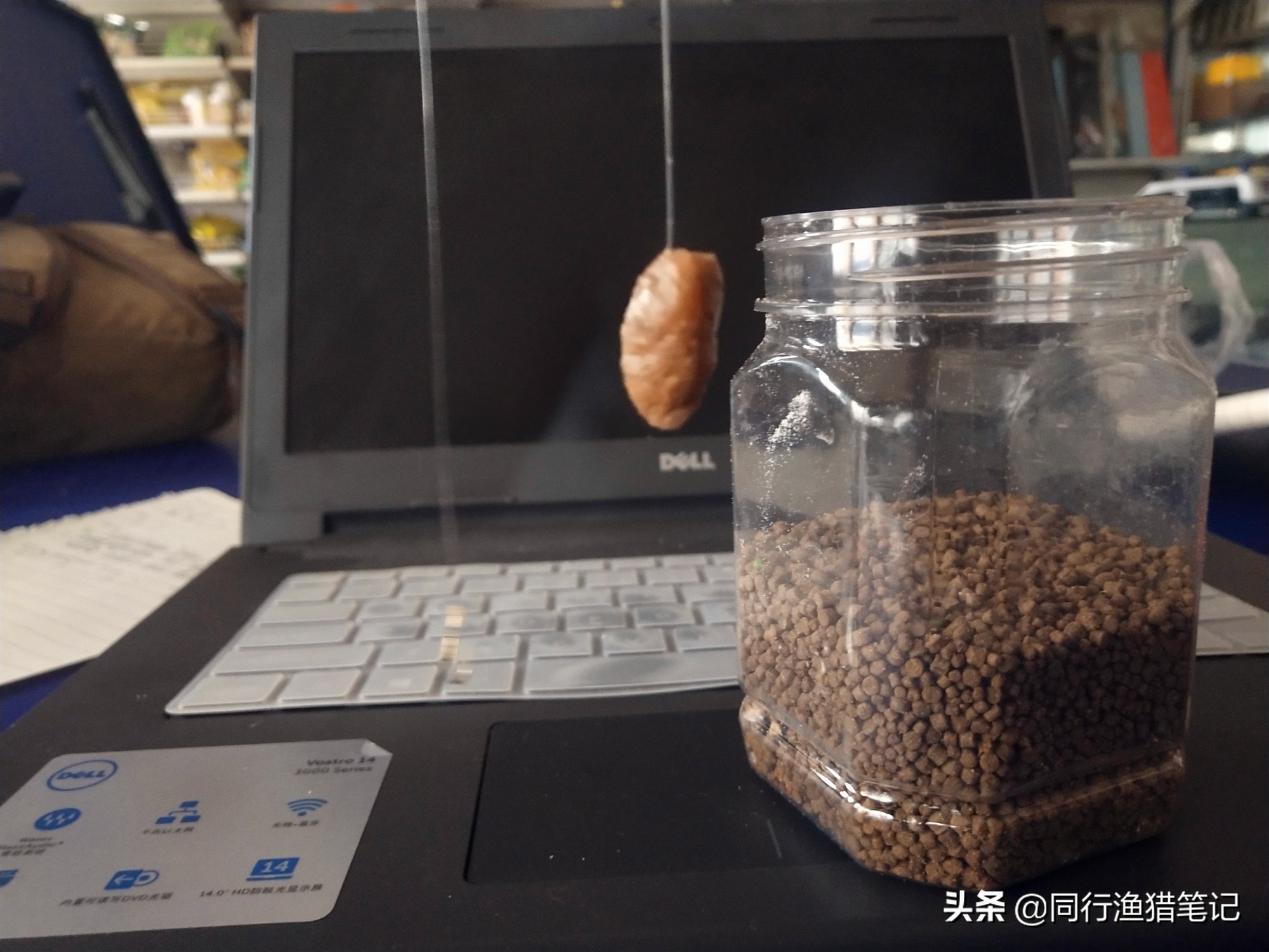 黑坑偷驴好用的饵料,黑坑偷驴时三种常用饵