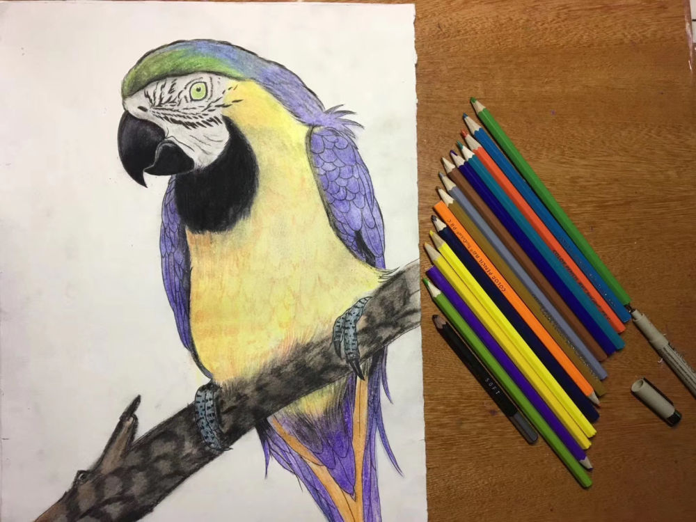 嫦娥五号木工,小木匠嫦娥五号