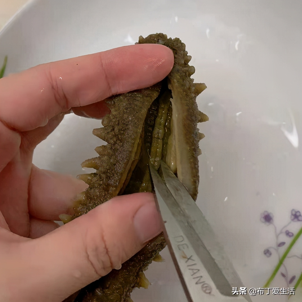 自己发海参的正确方法,海参的正确发制方法建议收藏