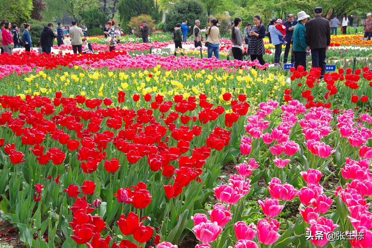 浜斾竴钀嶄埂鏃呮父鏀荤暐鏅偣蹇呭幓鎺ㄨ崘,浜斾竴鏈熼棿鍘昏タ婀栨梾娓告櫙鐐瑰厤璐瑰悧