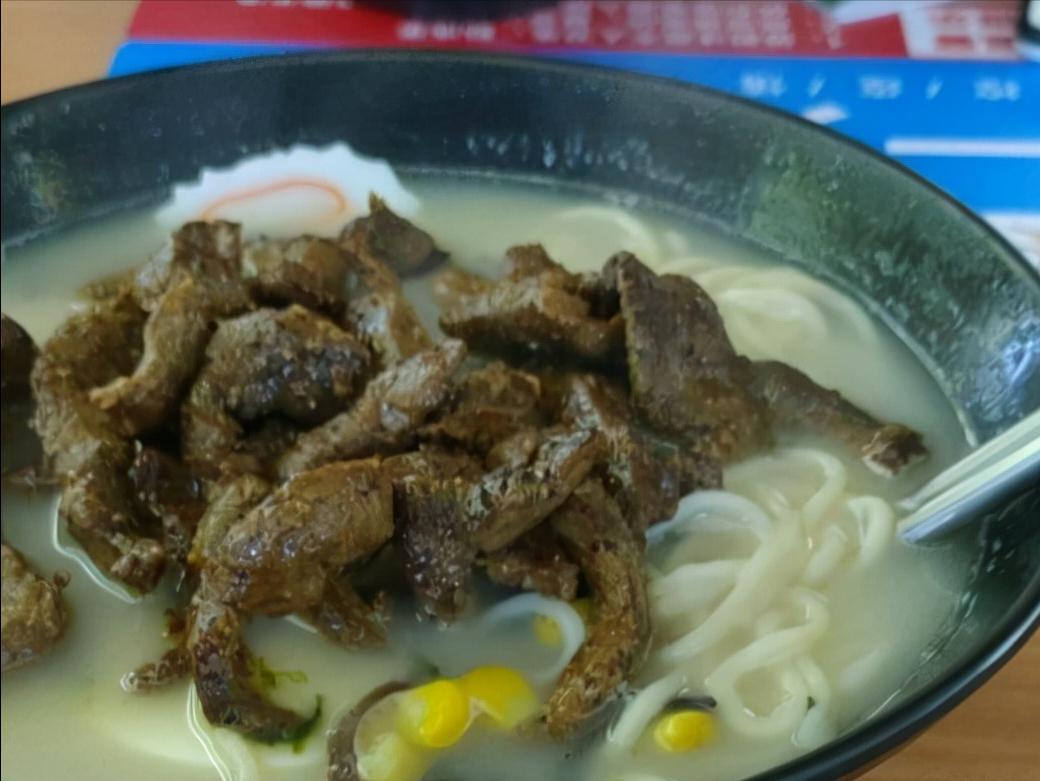 广东科贸职业学院学费多少一年,广东科贸职业学院可以升本科吗