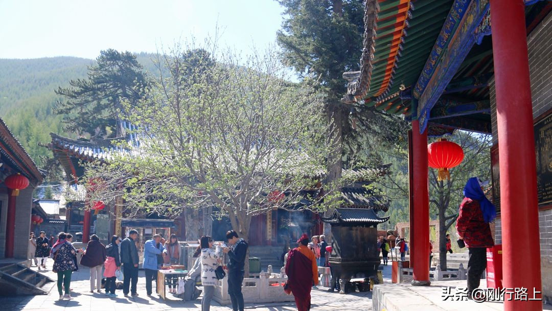 中国四大佛教圣地名山排名,中国四大佛教名山介绍