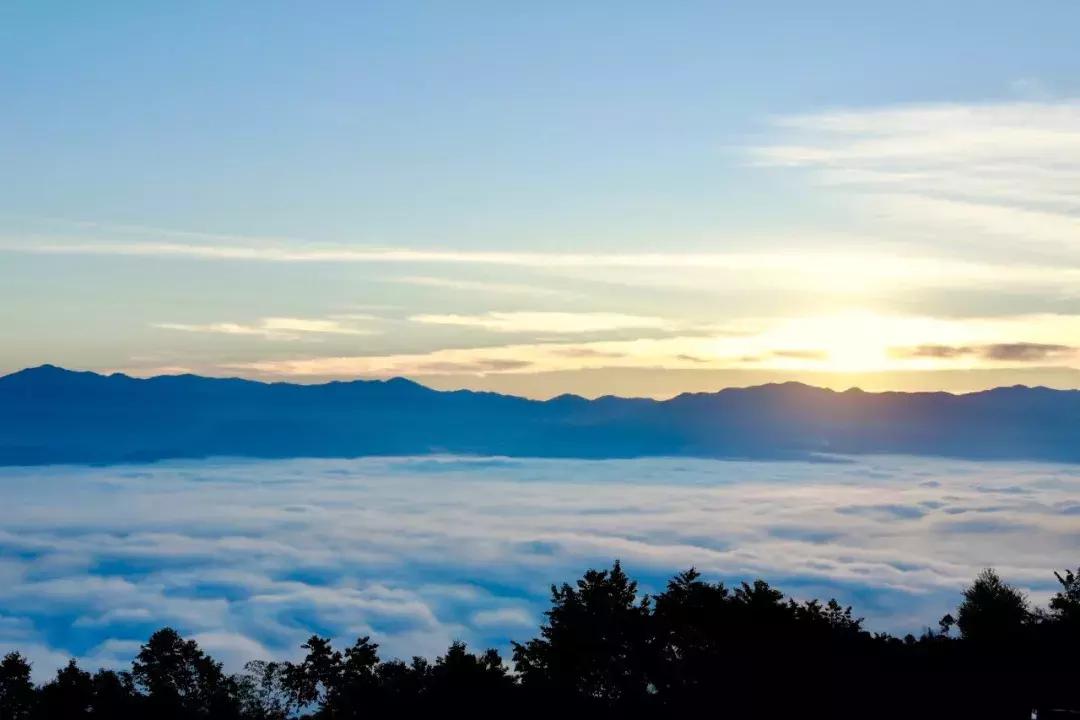 ifer来信｜感谢if姐，让我知道什么叫自己值得