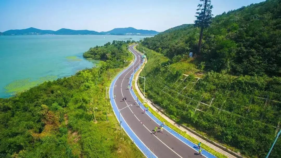 最新消息统计,最新情况通报