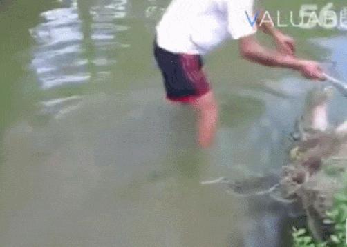 玩了一下电鳗,他口吐白沫倒下了