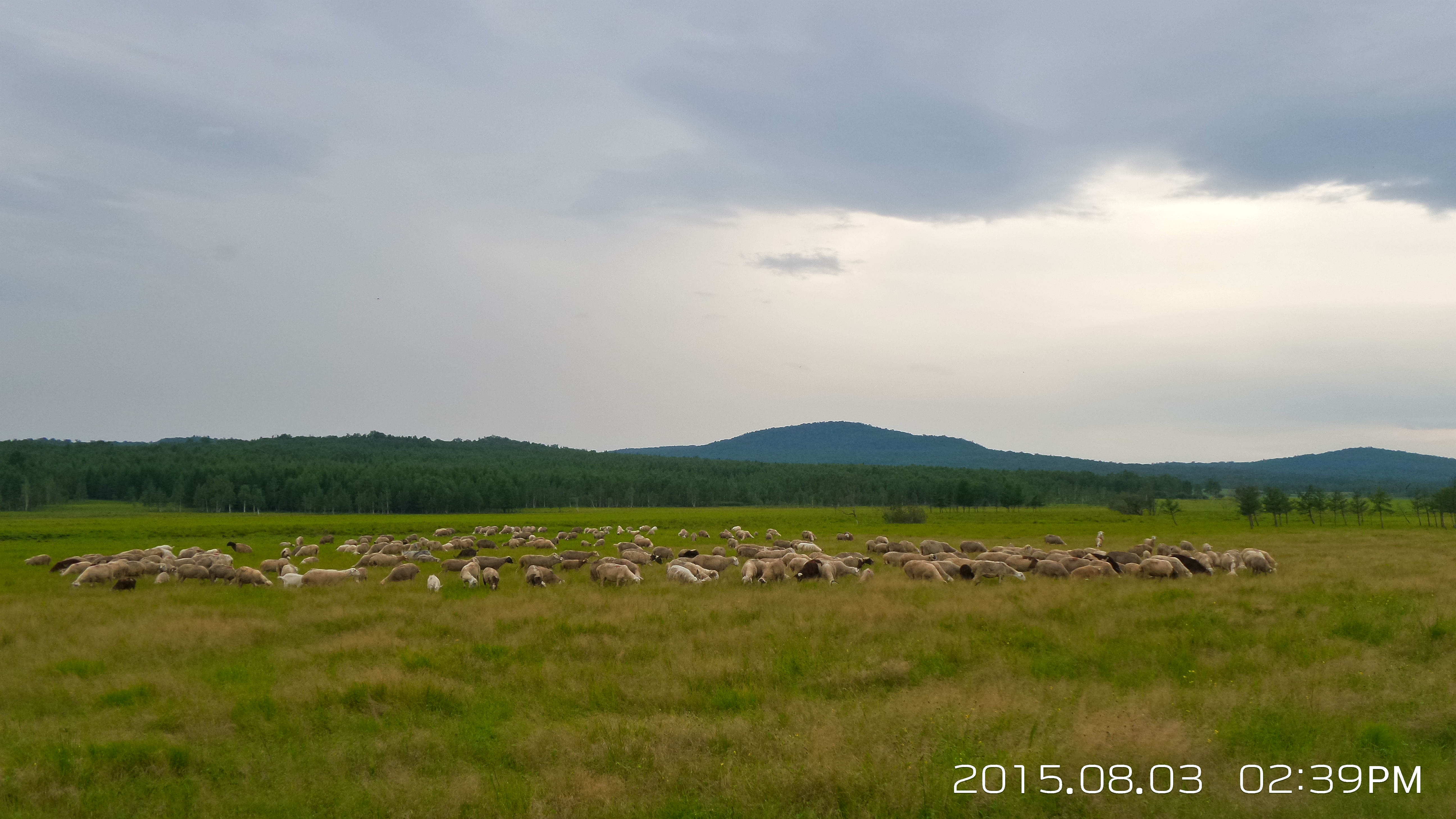 大山里的苦日子视频,你见过最苦的生活是什么样的