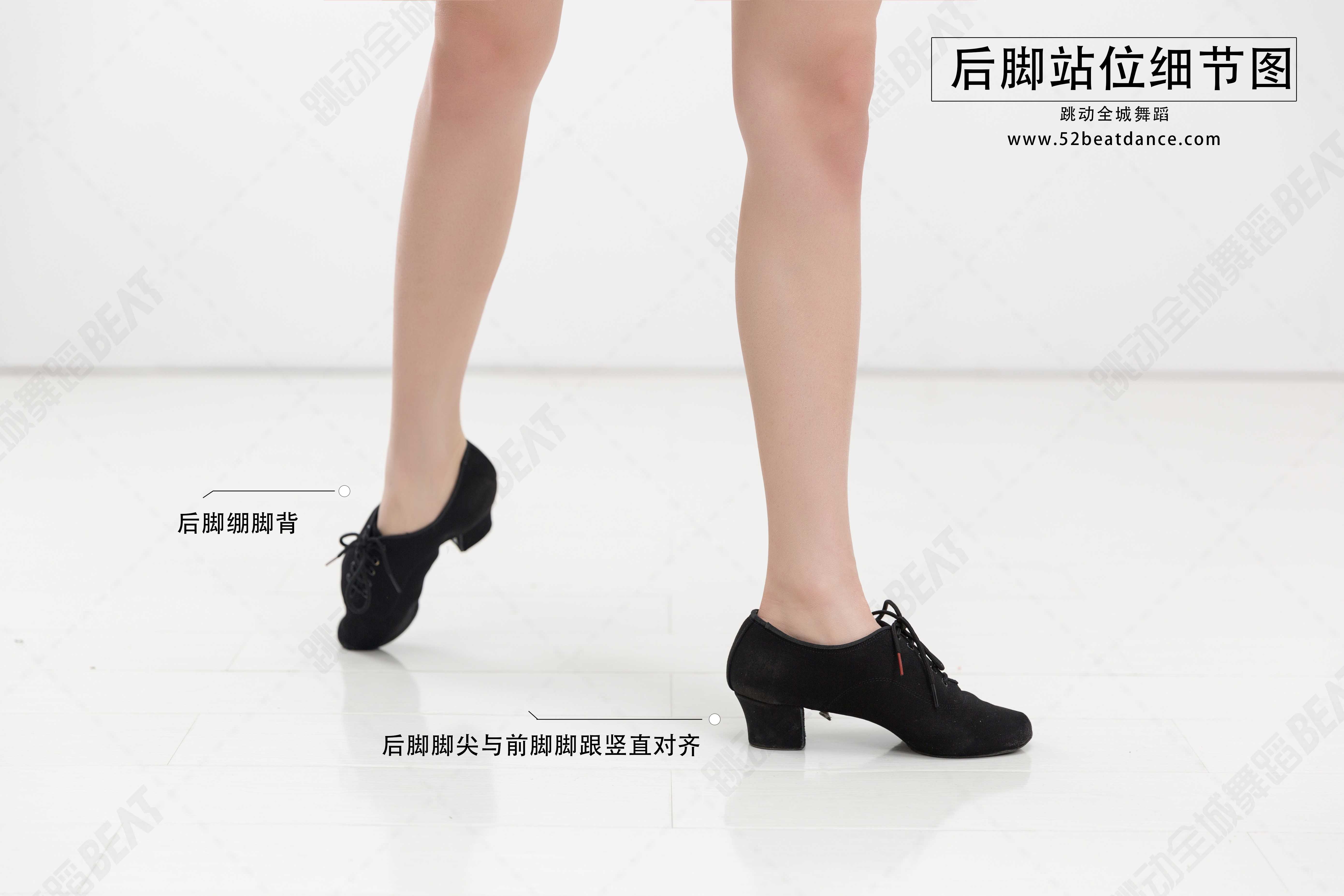 舞蹈拉丁舞入门视频完整版,成人拉丁舞每天必练100个动作