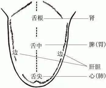 咬舌真的能自尽吗法医来揭秘,电视剧里的咬舌自尽是真的吗