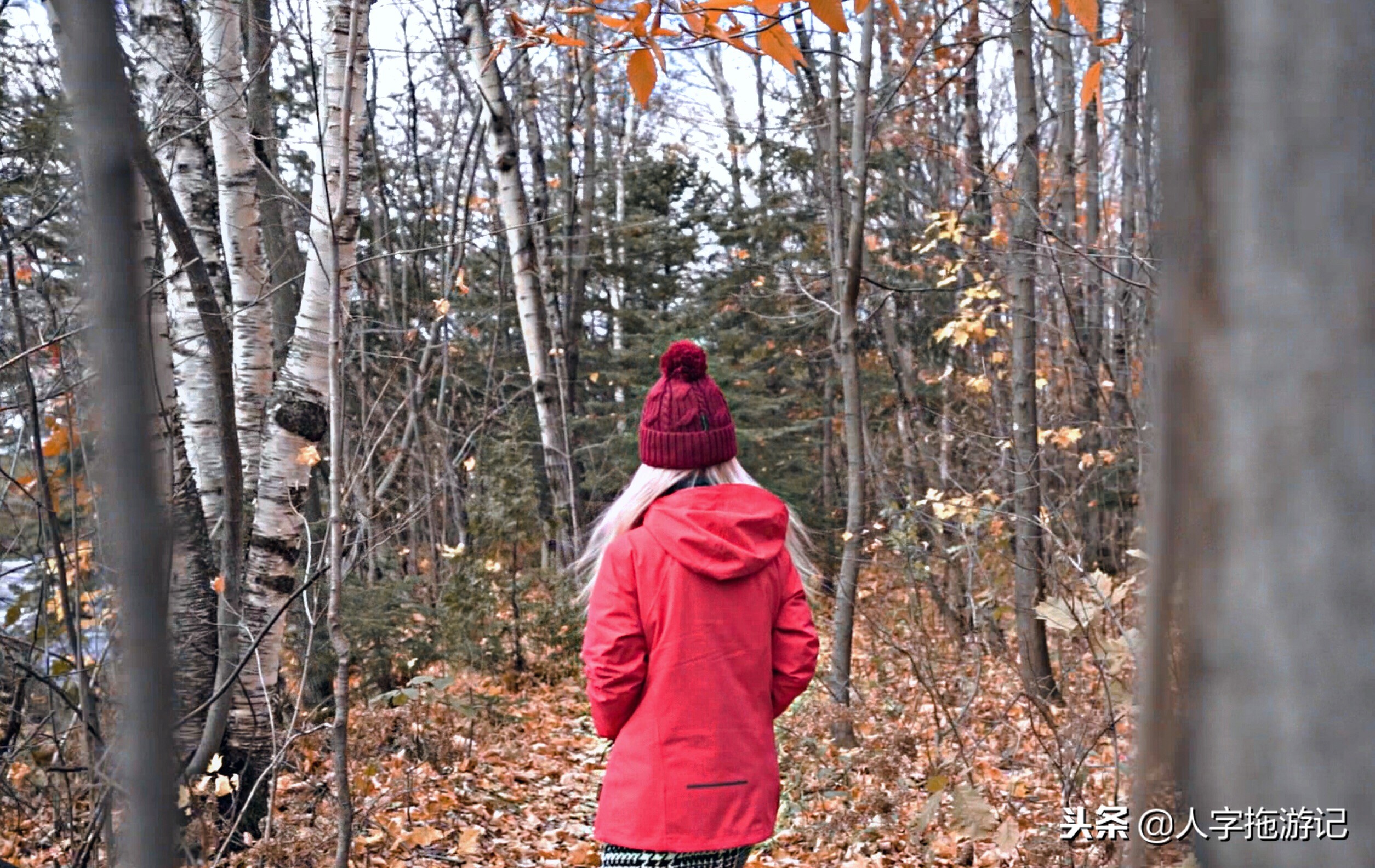 冬日极客,加拿大Wendake穿着狼爪去狼族