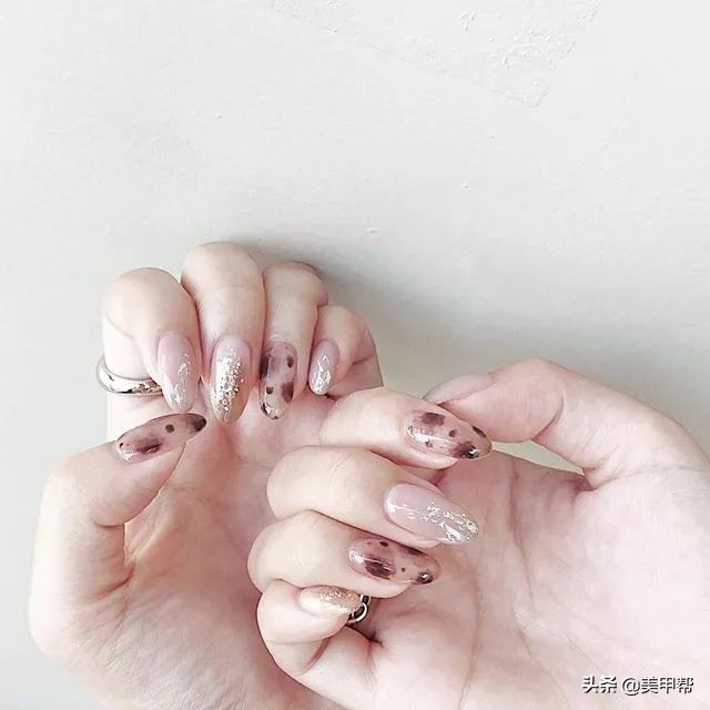 日系琥珀豹纹甲,豹纹甲推荐