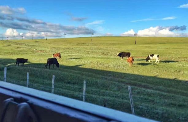 中国最昂贵的火车票一张票近5万,国内最贵火车却一票难求