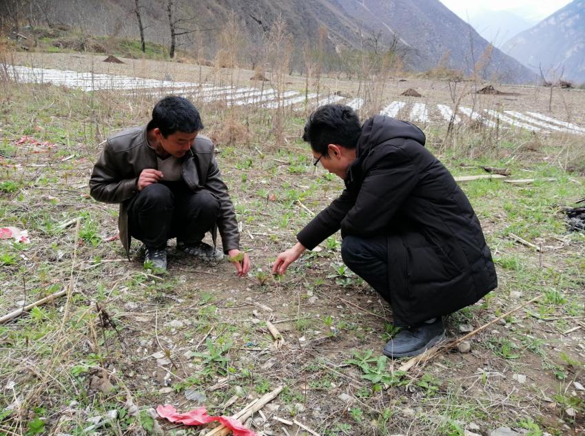 扶贫第一书记讲述的扶贫故事,扶贫第一书记扶贫工作实录
