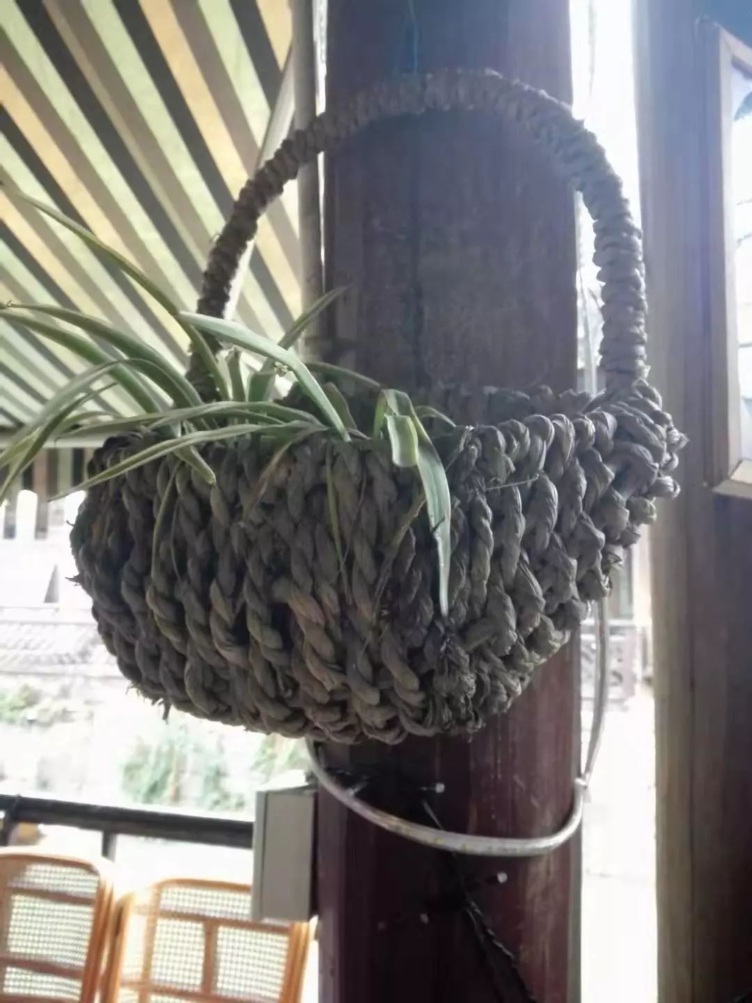 杭州武林门北到新市,杭州周边古镇一日游