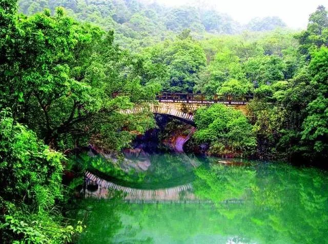 广东旅游攻略自驾游最佳路线,广东旅游攻略自驾游带孩子三天