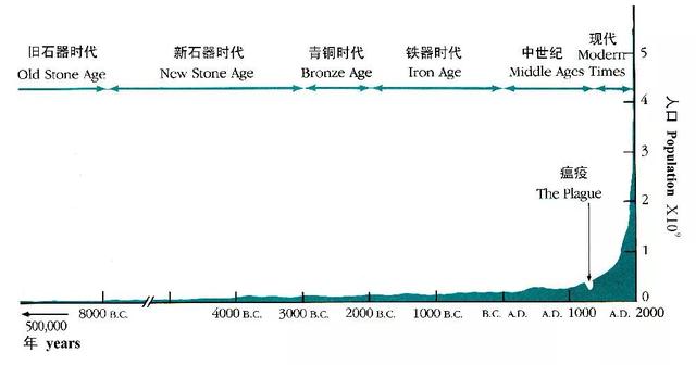 进化论经济学,关于经济进化论的观点及阐述