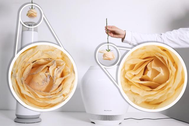 日本净化加湿器,可以净化空气的加湿器