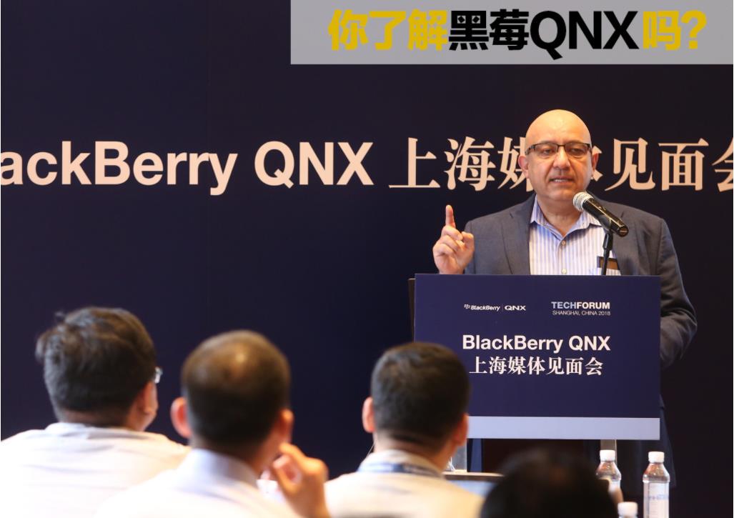 黑莓普及历史,黑莓衰败史