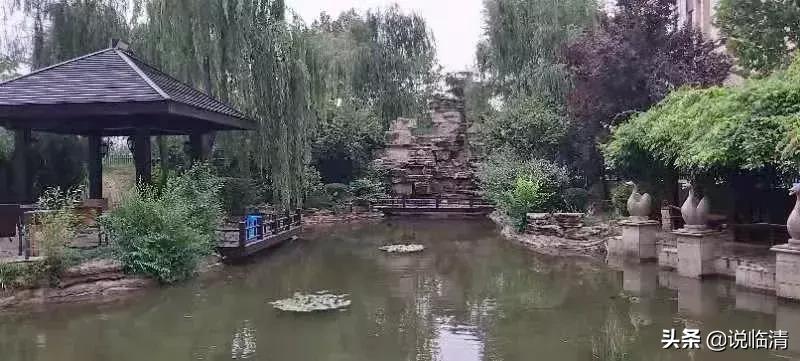 临清新区医院,临清新区医院工作时间