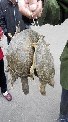 回忆离休干部父亲,回忆共产党员的父亲