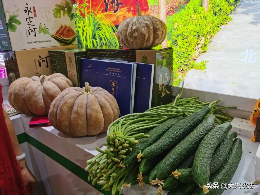 聚焦2023年服贸会新闻素材,大兴服贸会项目