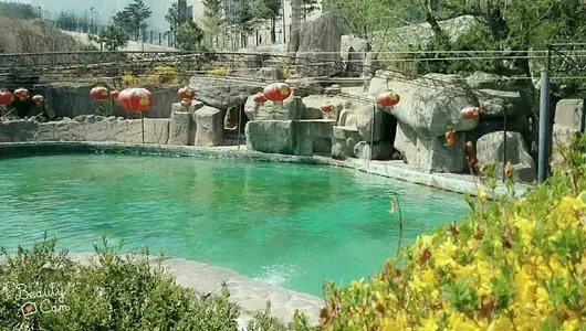 辽宁洗温泉哪里便宜,辽宁省最好的温泉在哪里