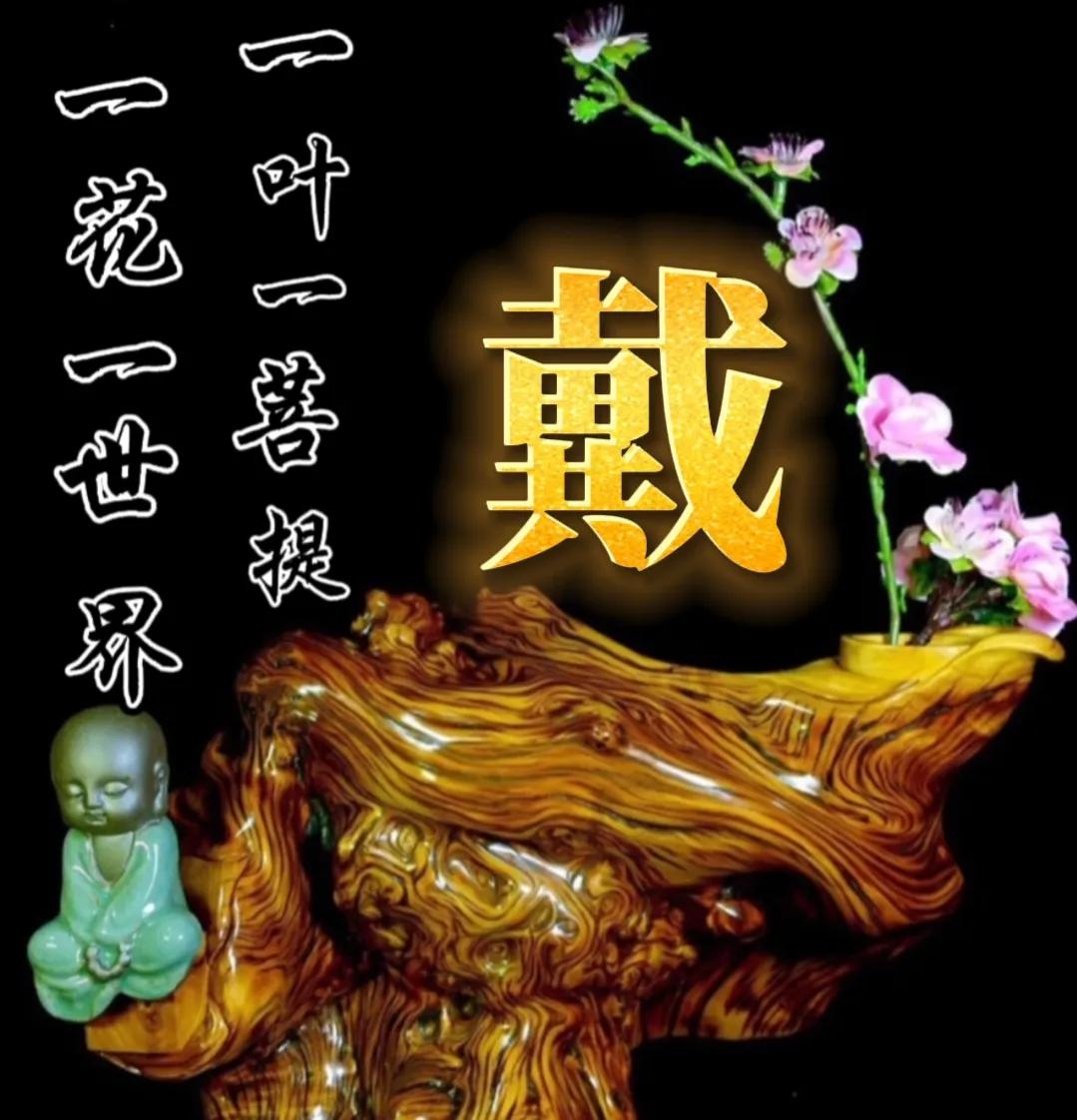 一花一世界一叶一菩提头像,一叶一菩提禅意微信头像