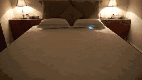 世界上唯一一款专用来“滚床单”的机器人