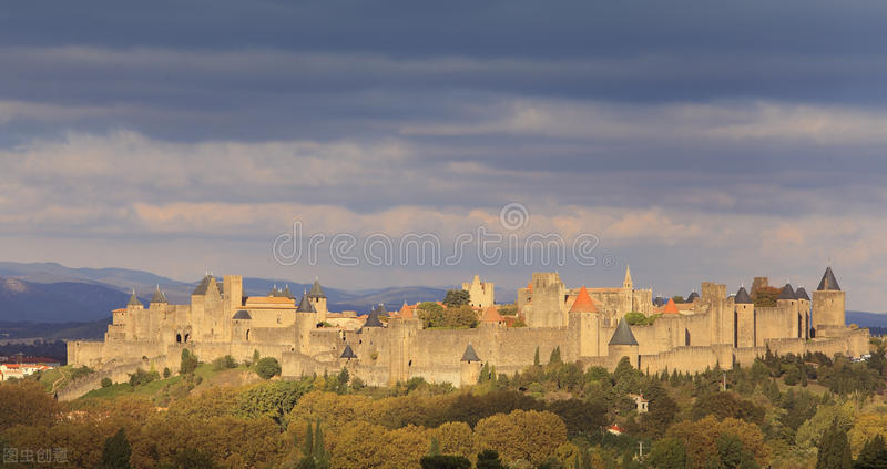 农村大娘卖10年的树多少钱,农村大娘卖特产视频