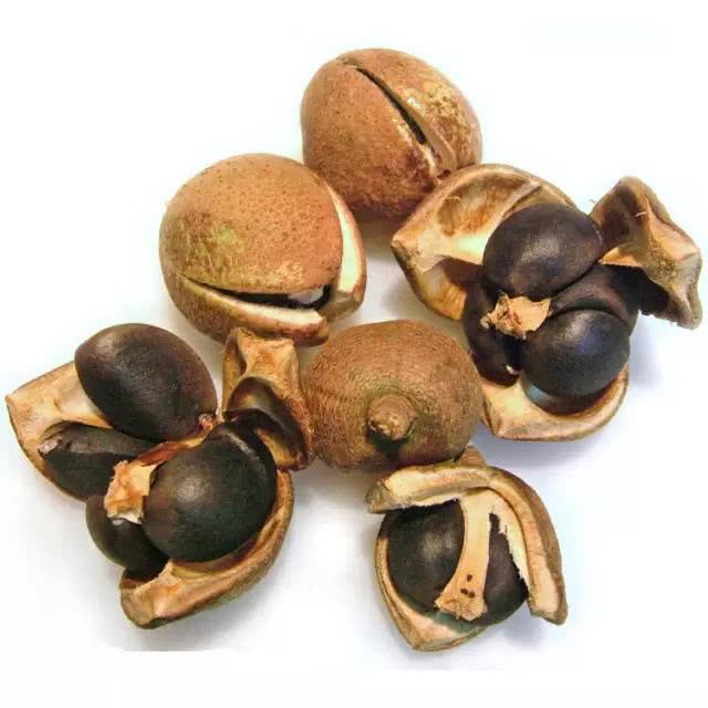 山茶油天峨,山茶油巴马